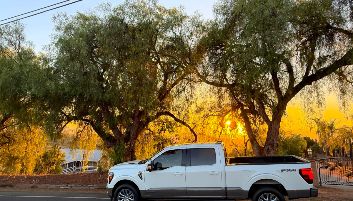 Ford Stock Soars despite Outlook Cut