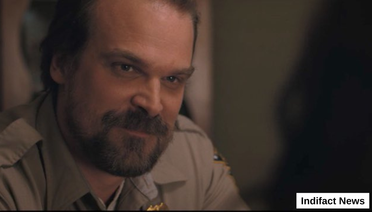 David Harbour Stranger Things Finale