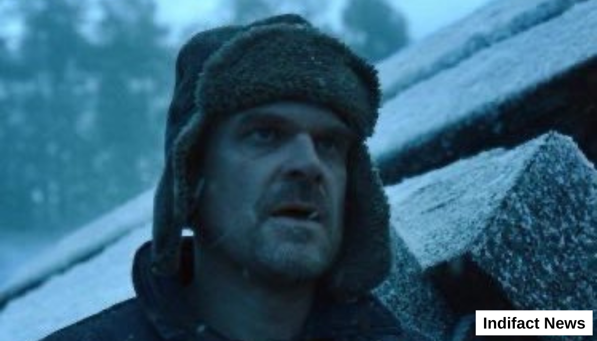 David Harbour Stranger Things Finale