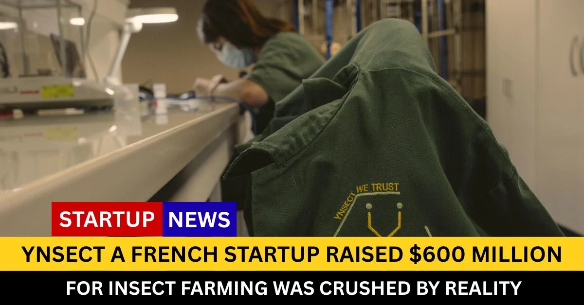 Ynsect a French business that had raised over $600 million. CREDIT: Ÿnsect